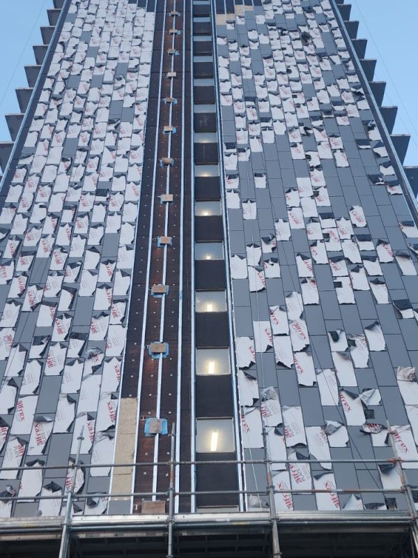 WhatsApp Image 2024-11-14 at 8.25.35 PM (2)